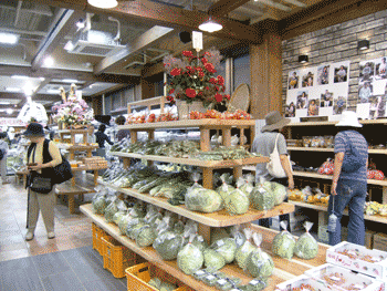 とれとれ旬家_店舗