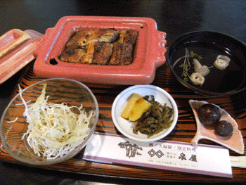 泉屋 鰻定食 泉屋 鰻定食