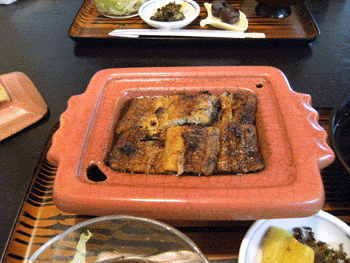 泉屋 蒲焼 泉屋 蒲焼