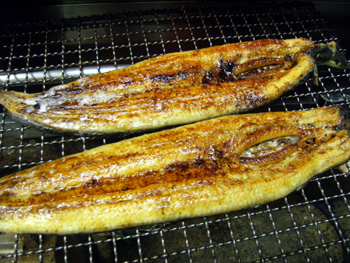 魚浩 うなぎ 魚浩 うなぎ