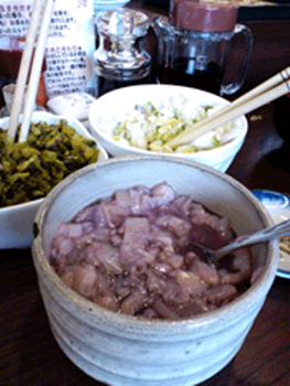 博多だるま 料理 博多だるま 料理