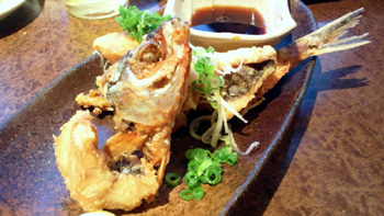ohana 料理 ohana 料理