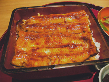 重龍 鰻重2 重龍 鰻重2