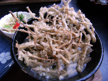 百花亭 ごぼう天うどん 百花亭 ごぼう天うどん