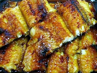 ideunagi-unagi.jpg ideunagi-unagi.jpg