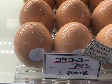 ludique-purin.jpg ludique-purin.jpg