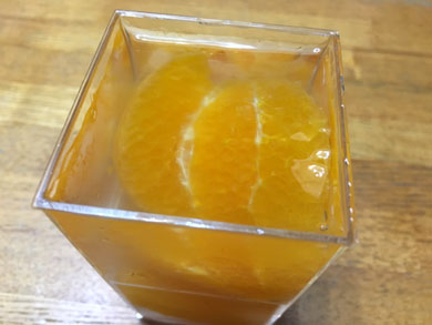 hamatsu-dekopon.jpg hamatsu-dekopon.jpg