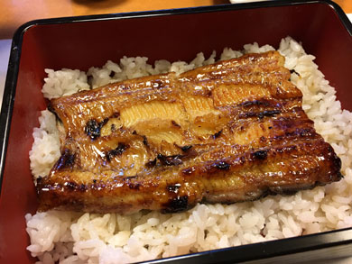 miyagawa-unagi.jpg miyagawa-unagi.jpg