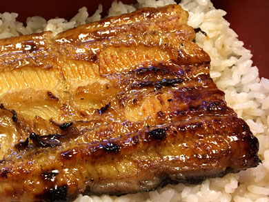 miyagawa-unagi2.jpg miyagawa-unagi2.jpg