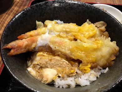 idutuya-tendon.jpg idutuya-tendon.jpg