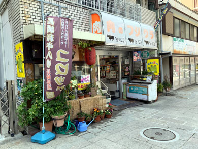 fujiwara-gaikan.jpg fujiwara-gaikan.jpg